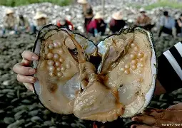 雷竞技官网 -18sui禁止进入